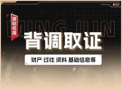 深度个人背景调查合法取证实景