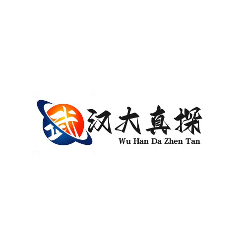 武汉大真探信息咨询服务有限公司