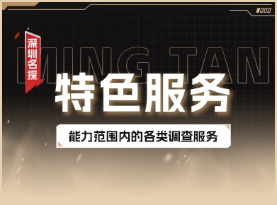 特色服务 - 专业调查，满足您的个性化需求